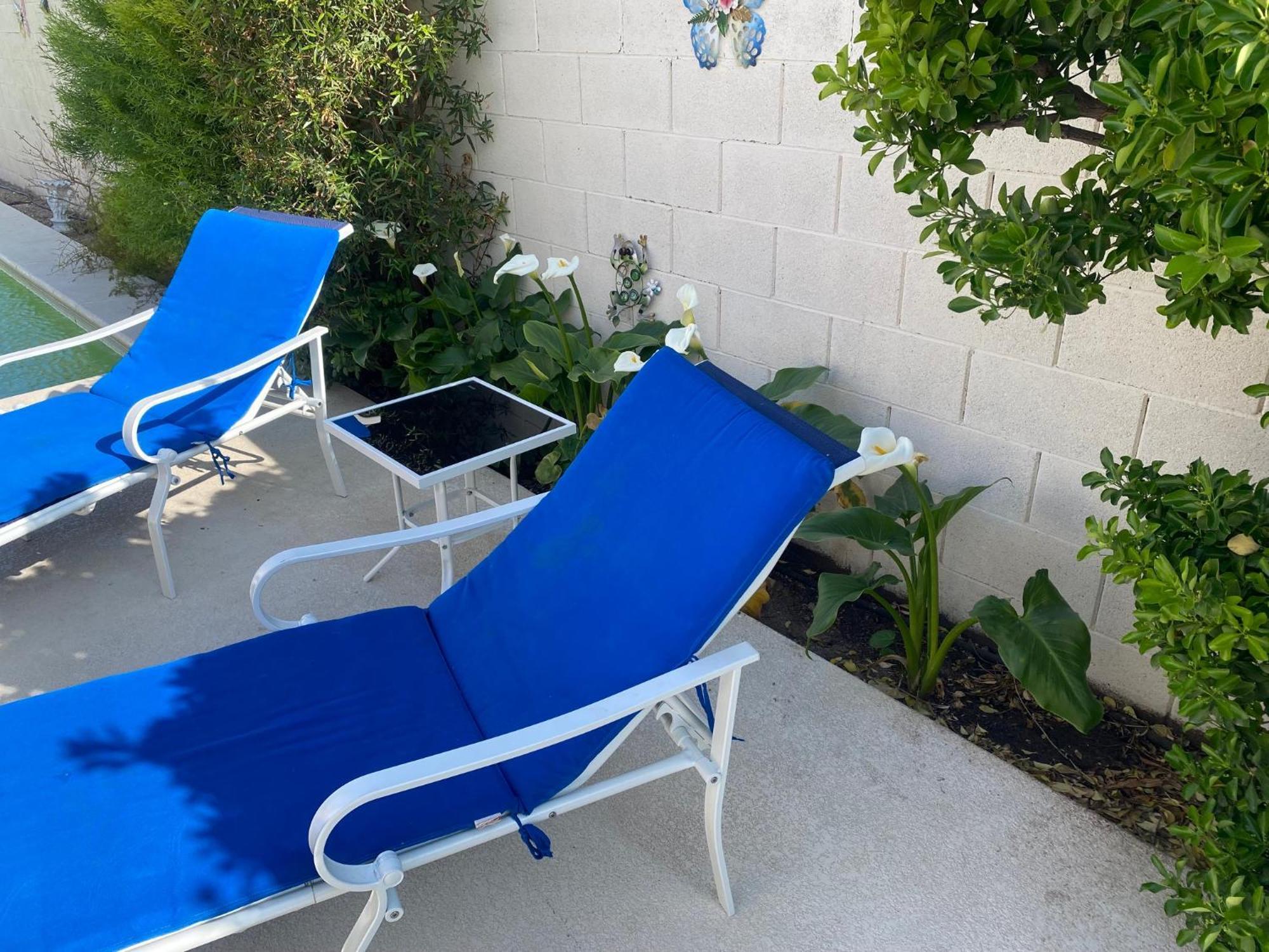 Luxury 1900 Sq Ft House Huge 46 Ft Pool & Hot Spa Las Vegas Eksteriør bilde